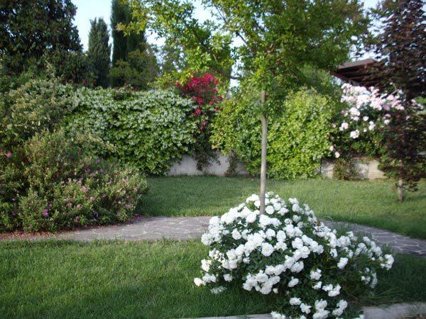La Magnolia - Fano Bed & Breakfast Ngoại thất bức ảnh