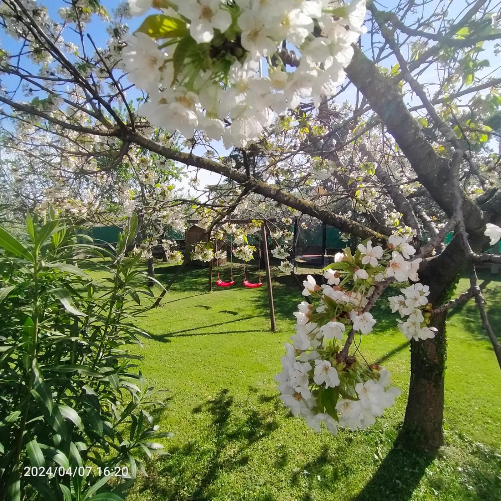 La Magnolia - Fano Bed & Breakfast Ngoại thất bức ảnh